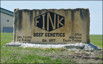 Fink Beef Genetics