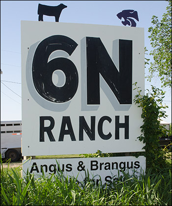 Sankey 6N Ranch