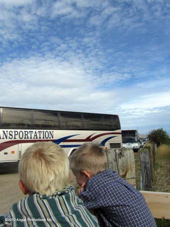 Greeting the buses