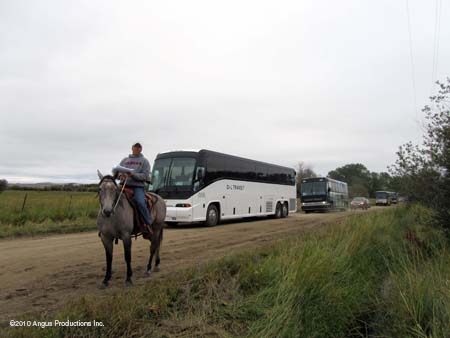 buses coming