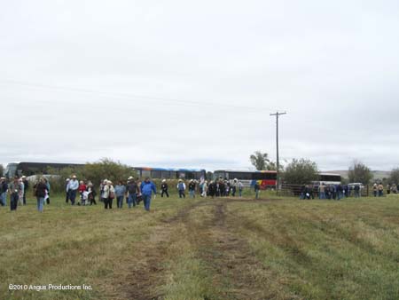 buses unloading