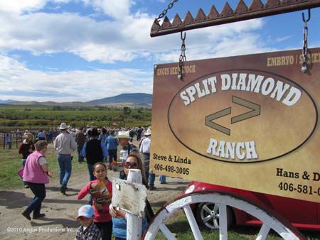 Split Diamond sign