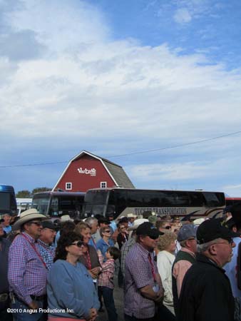 crowd view